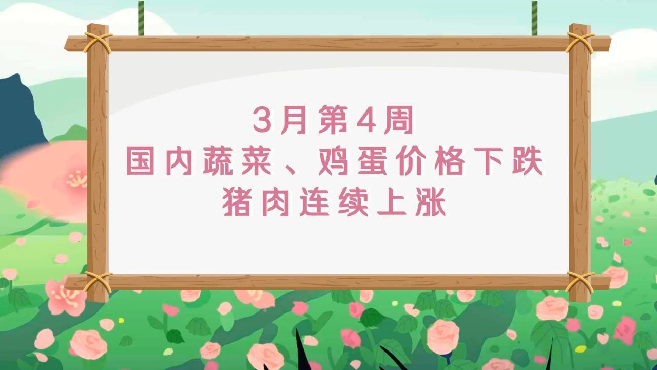 【2024年3月第4周】国内蔬菜、鸡蛋价格下跌、猪肉连续上涨