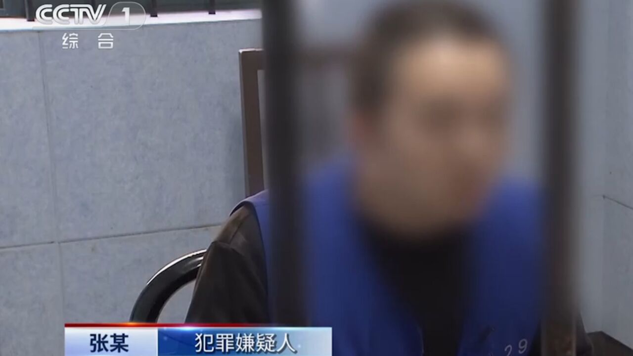 夫妻俩联合中介卖房,虚构价格骗取银行贷款1000多万,涉嫌诈骗被捕