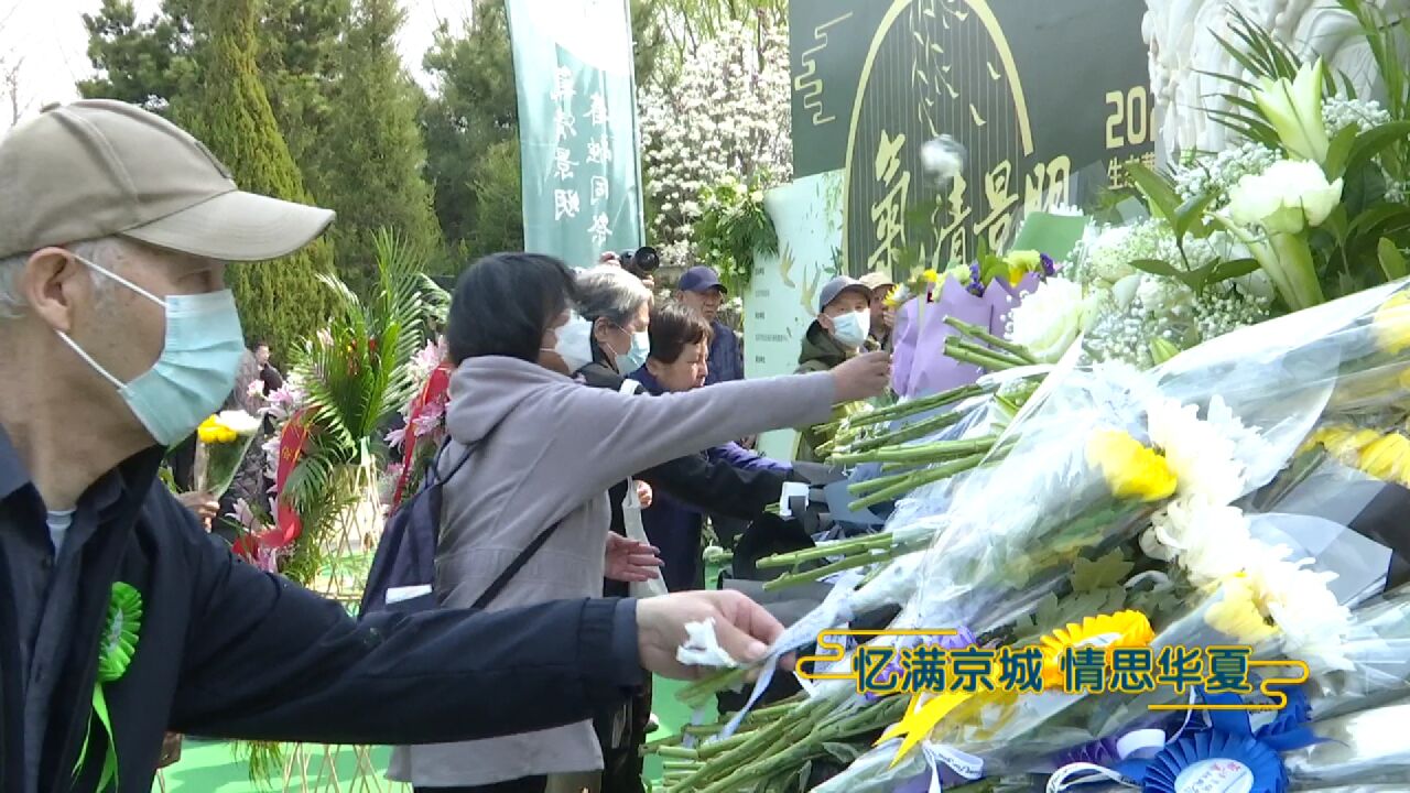 北京举办生态葬清明公祭,北京共生态化安葬逝者4.2万余名