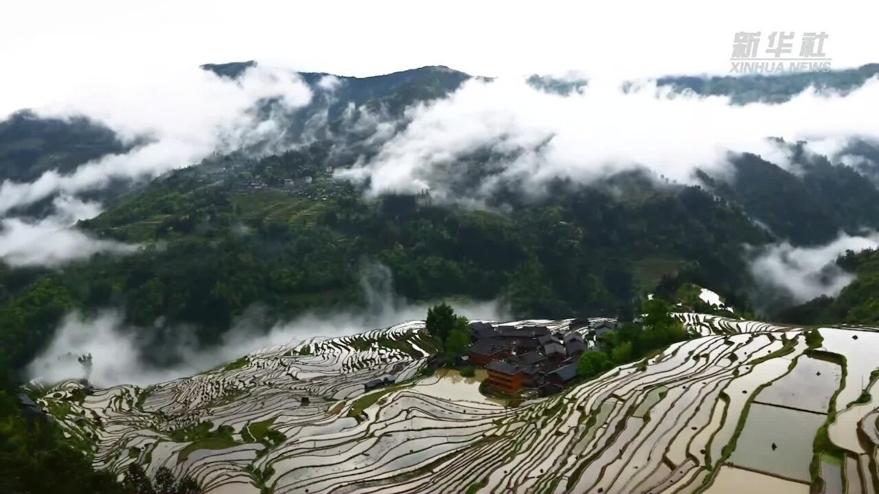 雨后的加榜梯田 云雾缭绕如田园画