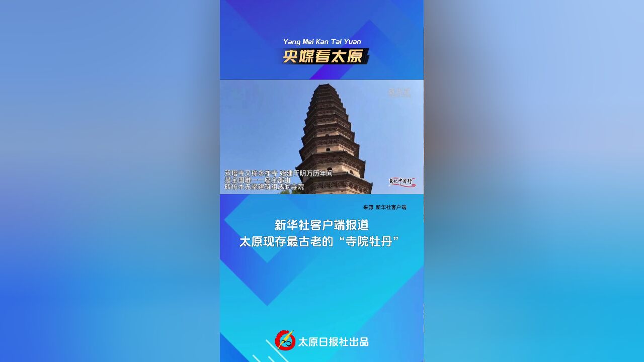 央媒看太原|新华社客户端报道太原现存最古老的“寺院牡丹”