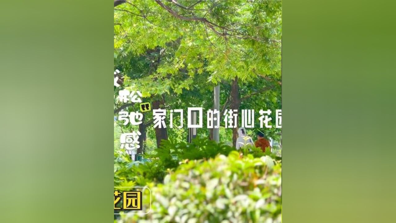 城市松弛感 家门口的街心花园|东仪路路街心花园 感受夏日午后悠闲时光