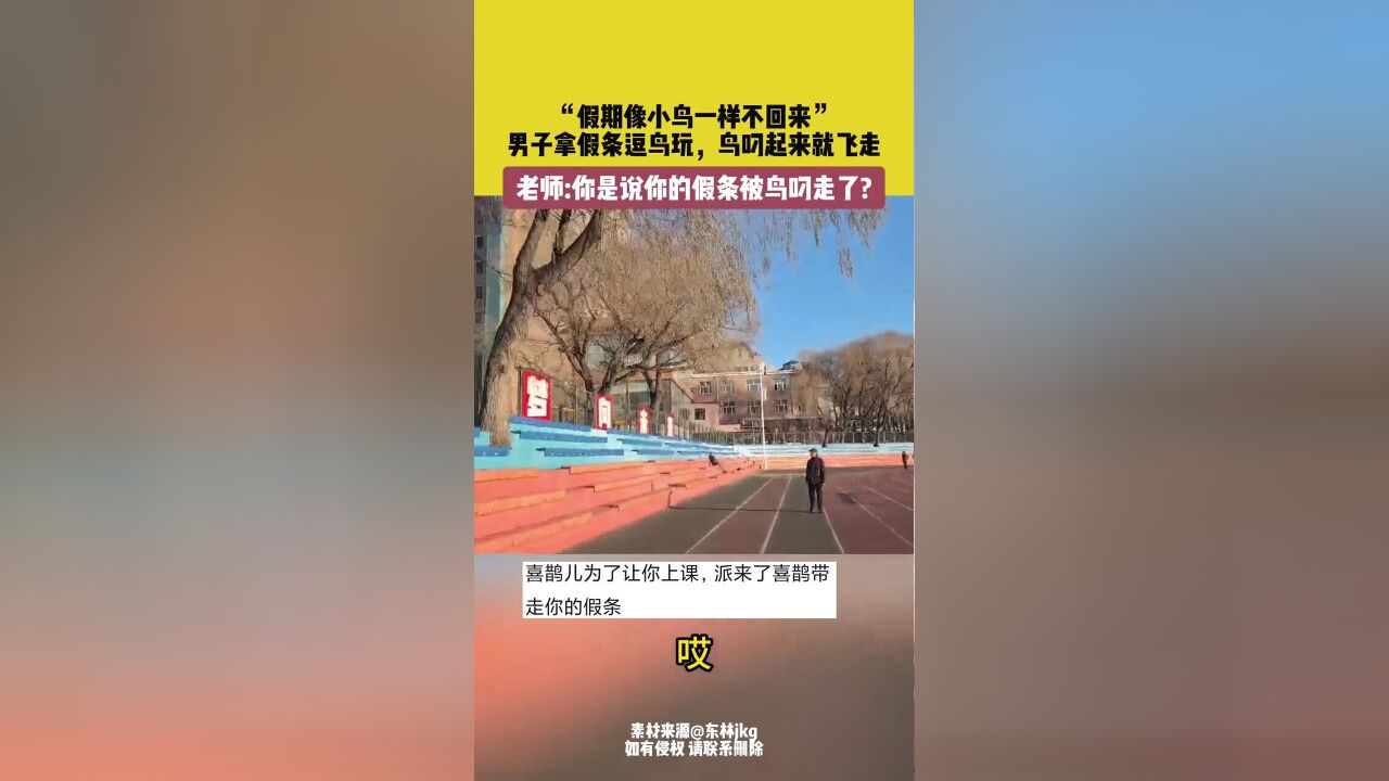 男子拿假条逗鸟玩,鸟叼起来就飞走,网友:假期像小鸟一样不回来