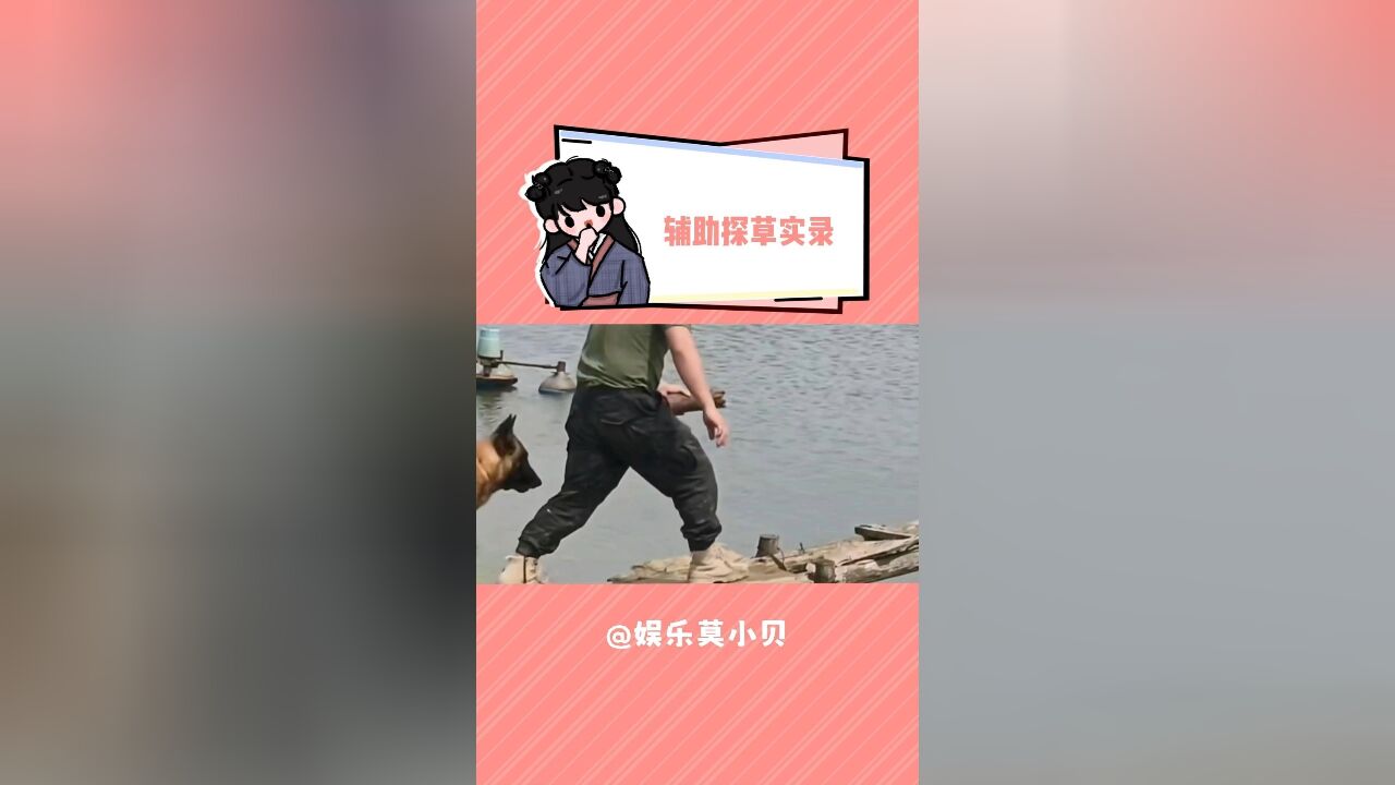 辅助探草实录