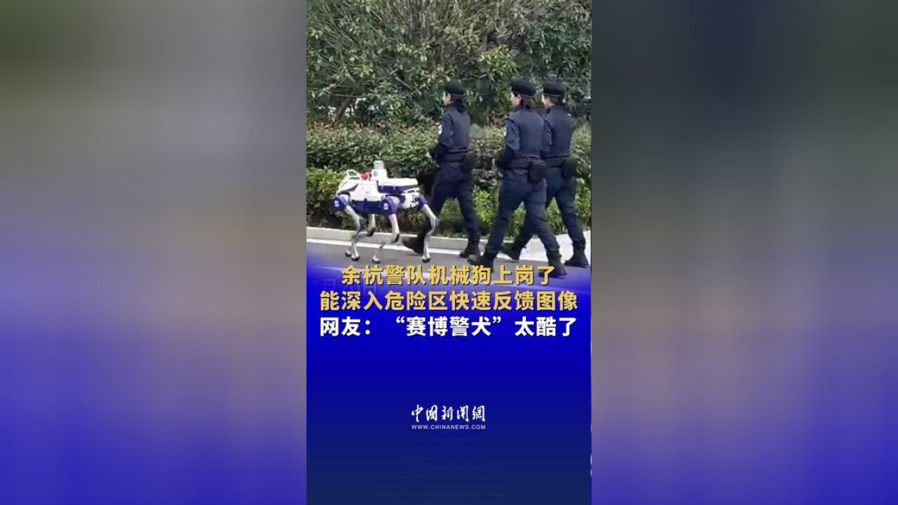 余杭警队机械狗上岗了,能深入危险区快速反馈图像,网友:“赛博警犬”太酷了