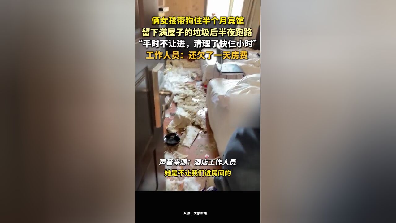 俩女孩带狗住半个月宾馆,留下满屋的垃圾后半夜跑路, 工作人员:平时不让打扫