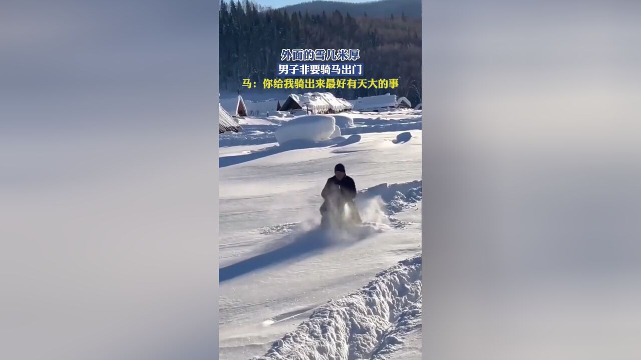 外面的雪几米厚,男子非要骑马出门,马:你给我骑出来最好有天大的事