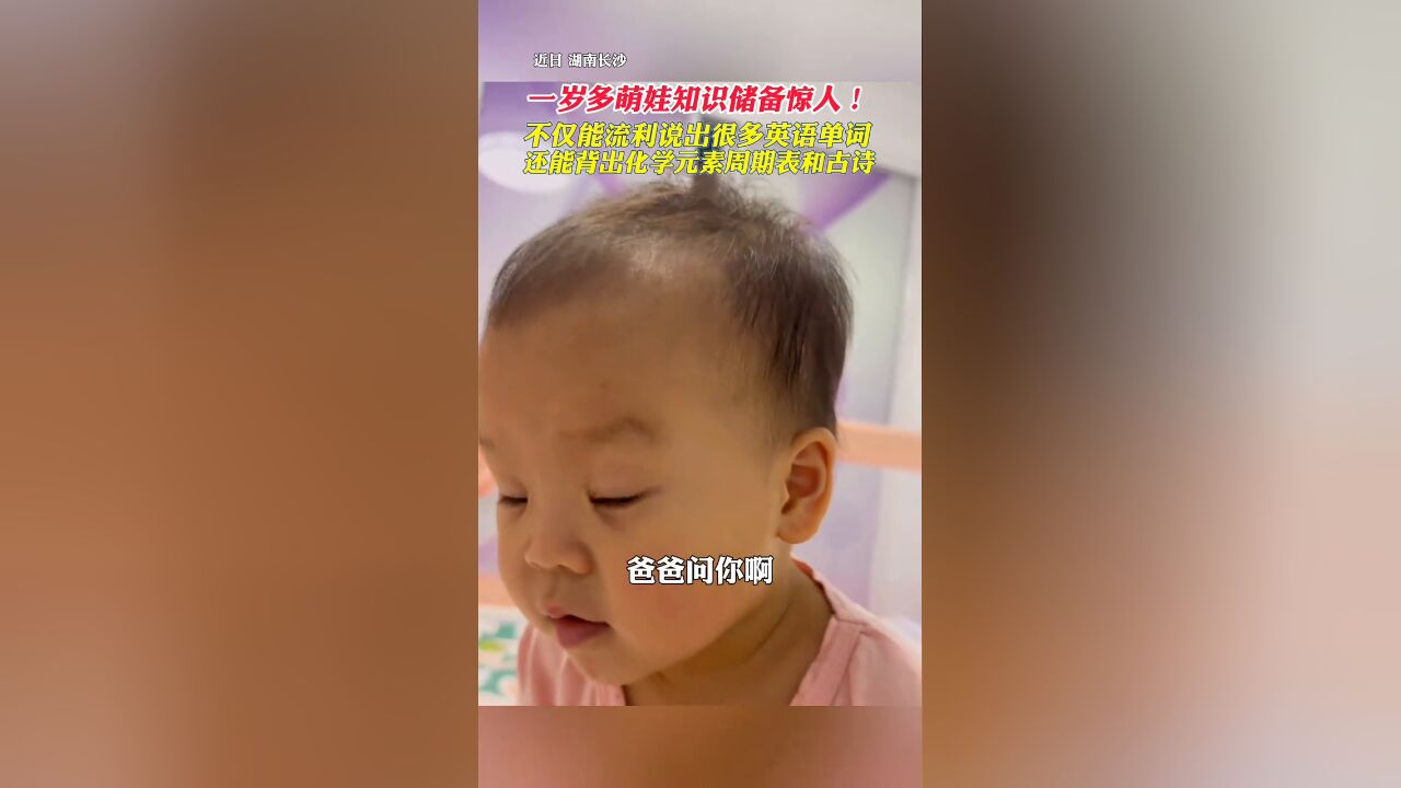 一岁多萌娃知识储备惊人!不仅能流利说出很多英语单词