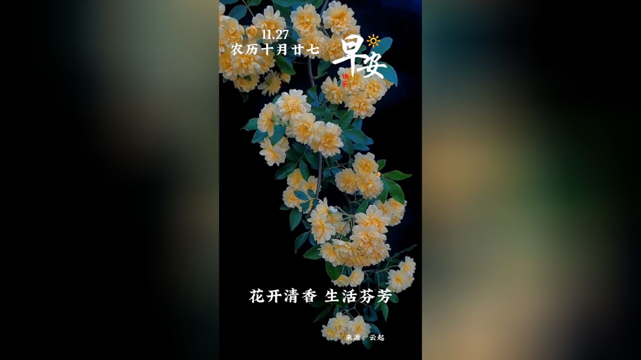 花开清香,生活芬芳,新的一天,愿您笑口常开,自在如风