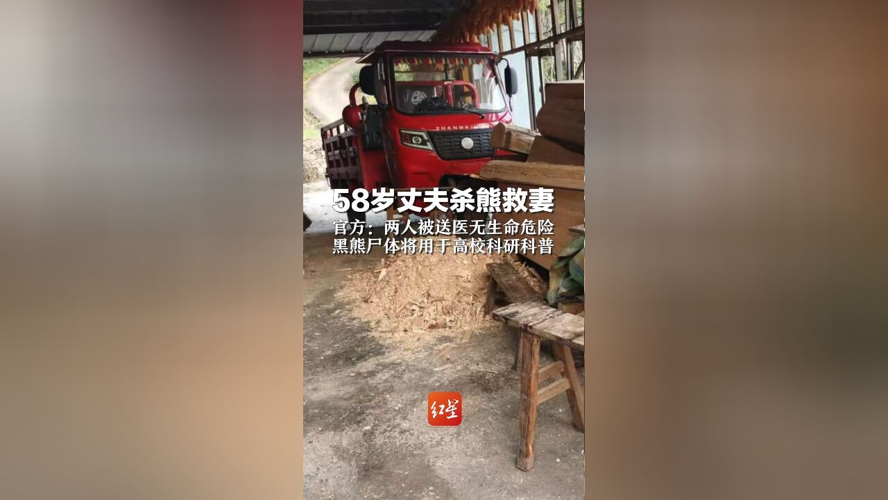 58岁丈夫杀熊救妻 官方:两人被送医无生命危险 黑熊尸体将用于高校科研科普