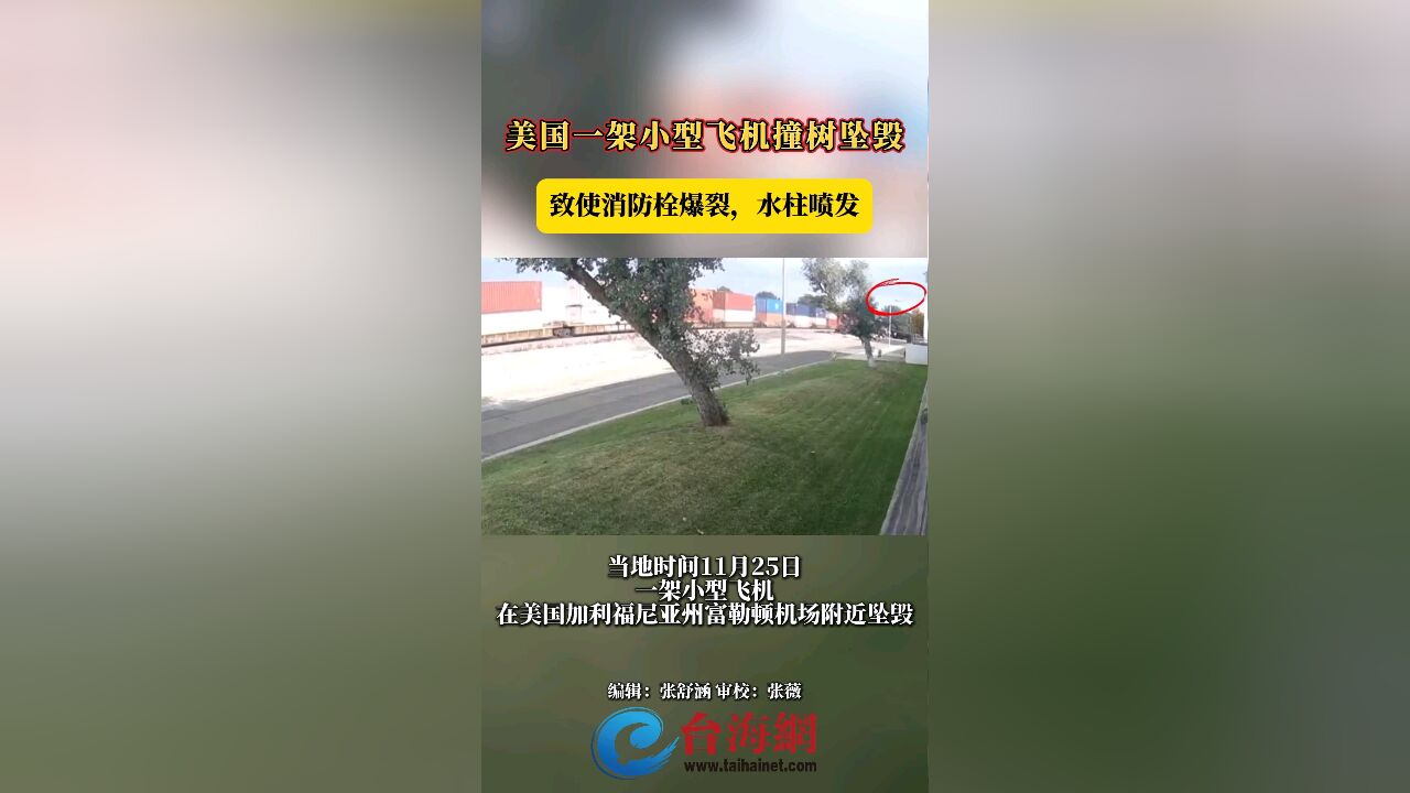 美国一架小型飞机撞树坠毁 致使消防栓爆裂,水柱喷发