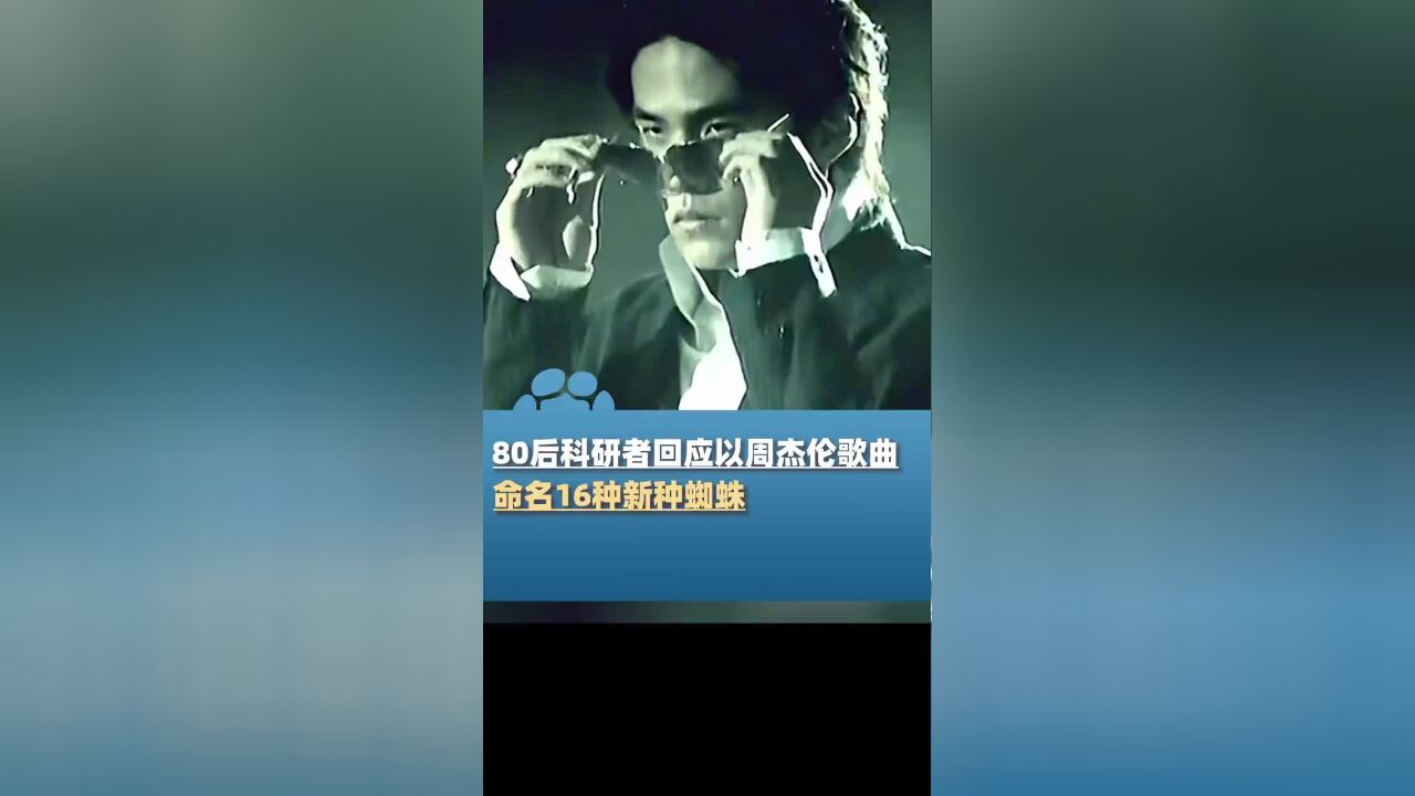 “龙拳艾蛛 夜曲王园蛛”,科研者回应以周杰伦歌命名新种蜘蛛