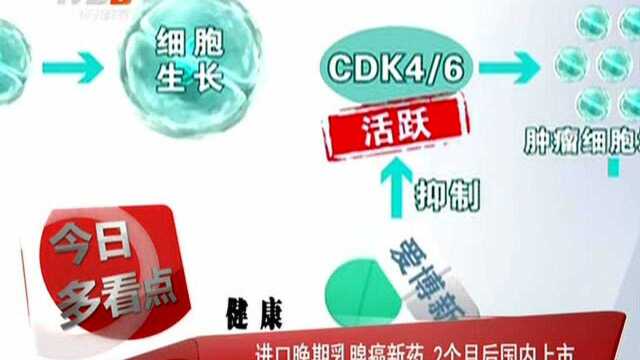 进口晚期乳腺癌新药 2个月后国内上市