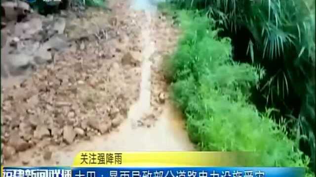 关注强降雨 大田 暴雨导致部分道路电力设施受灾