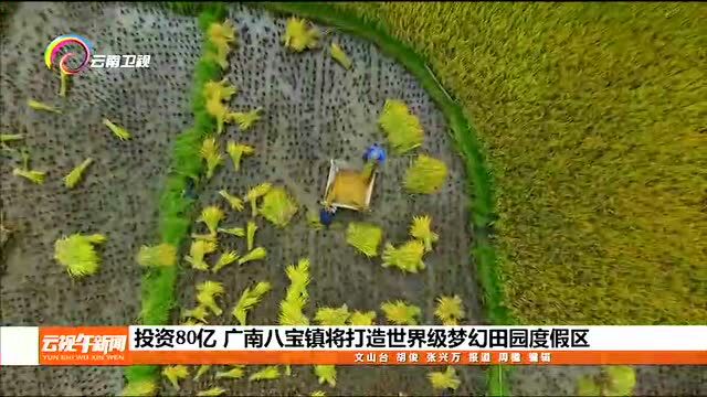 投资80亿 广南八宝镇将打造世界级梦幻田园度假区