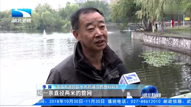 中央生态环境保护督察“回头看”整改进行时 紫阳湖水清了 草绿了 鱼多了