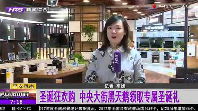 圣诞狂欢购 中央大街黑天鹅领取专属圣诞礼