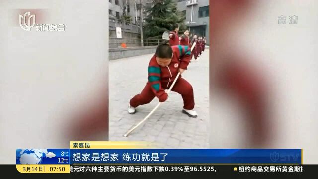 河南登封:11岁男孩练武超用力 随便暂停都是表情包