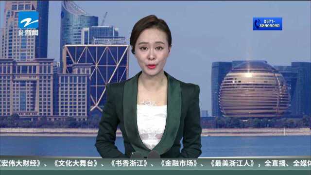 美国流浪狗“小苹果”纽约找新家