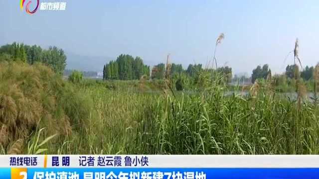 保护滇池 昆明今年拟新建7块湿地