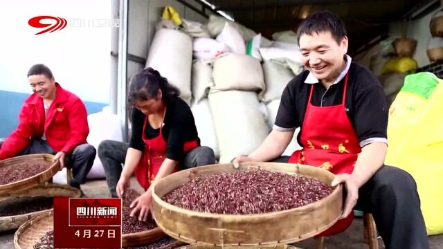 来体验“滋润雅安”魅力