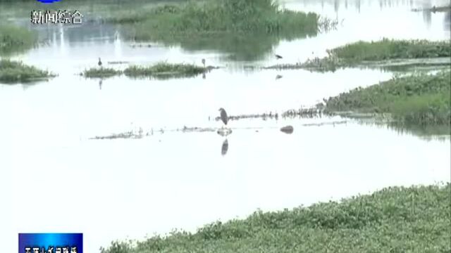 韩宏亮调研我市河道整治情况