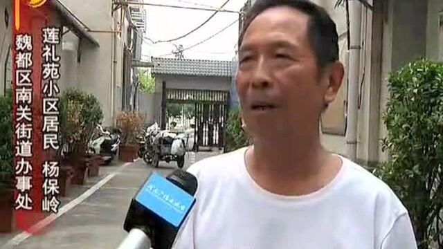 魏都区南关街道办事处:以人民为中心 一枝一叶总关情