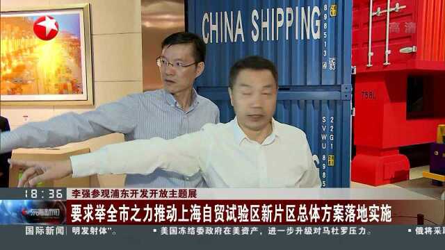 李强参观浦东开发开放主题展