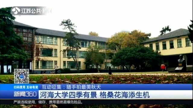 河海大学四季有景 格桑花海添生机