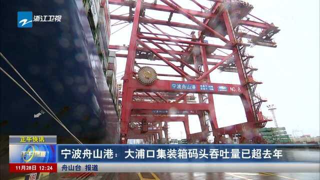 宁波舟山港:大浦口集装箱码头吞吐量已超去年