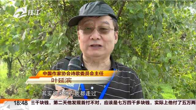 全国文化名家齐聚渔浦 深度探寻“诗路萧山”