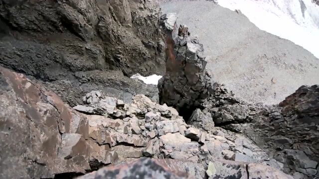 生命的故事:大雁宝宝从悬崖跃下生死只在一瞬间