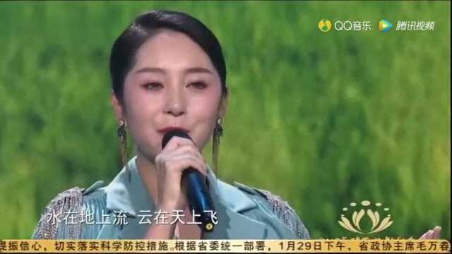 云在飞(2019品牌农业影响力年度推介晚会)