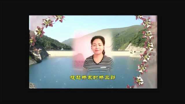 《大传花儿杨家将》严存玲