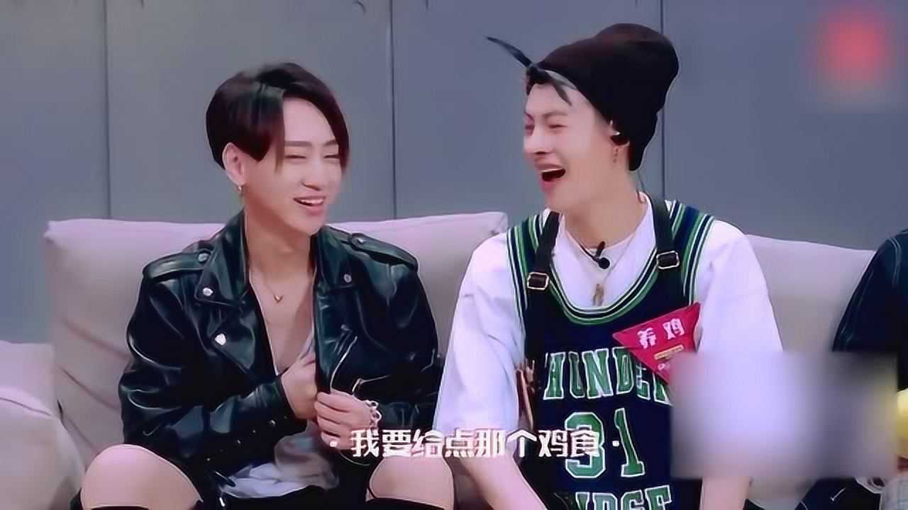 喂鸡组合上线 魏巡养鸡搞笑聊天