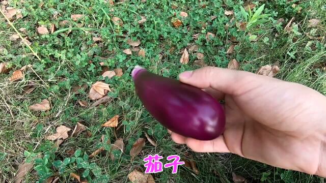 认识茄子等8种蔬菜, 媛媛识果蔬