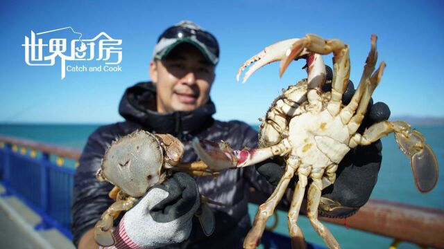 新西兰现捕肥美沙蟹做三吃,隔壁小孩都馋哭了