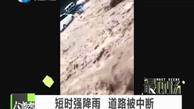 林州突降暴雨 引发洪水和泥石流 数百辆车被困