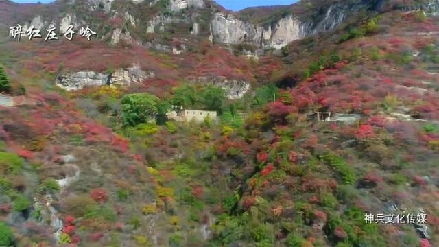 醉红涉县庄子岭