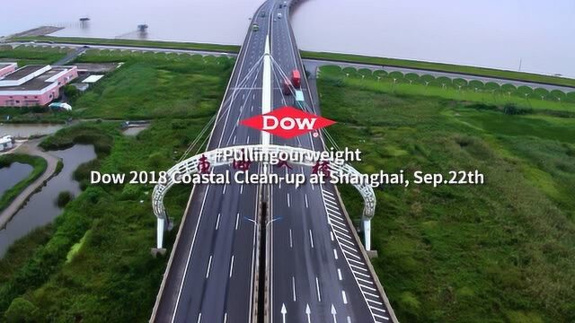 DOW 2018上海净滩活动