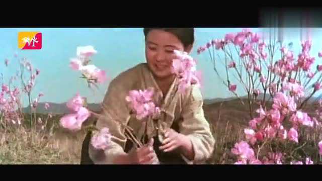 《卖花姑娘》插曲《赤诚花》