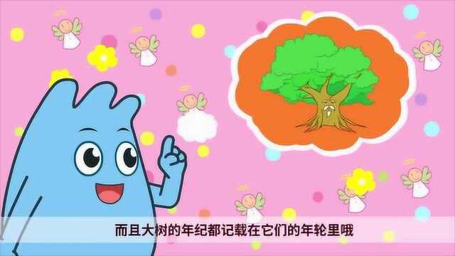 咕力咕力儿歌: 认识年轮的故事