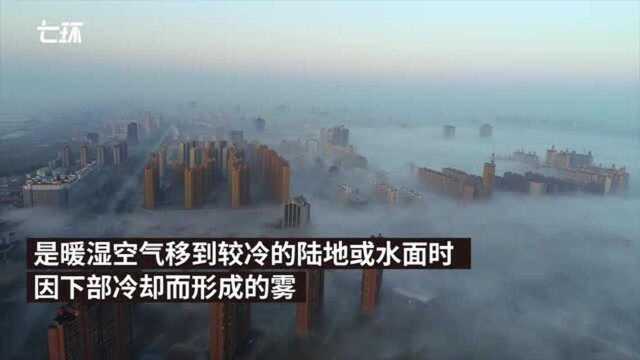 运城现平流雾景观,城市变“空中楼阁”