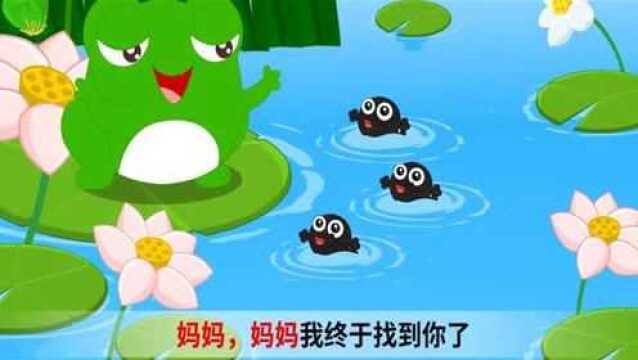 嘟拉小故事动画:小蝌蚪找妈妈