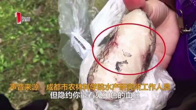 儿子腹泻后的追问 超市19.8元一斤的“鳕鱼”是真的吗?