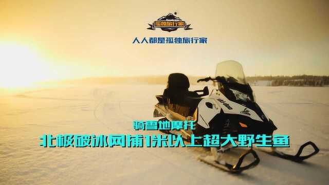 骑雪摩北极破冰网捕1米以上超大野生鱼 上 人人都是孤独旅行家