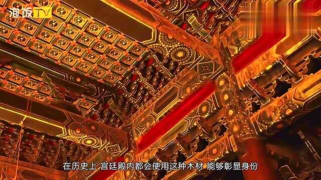 中国最贵的树!树龄高达1300多年,一截树枝就能拍卖40万