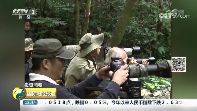 鸟导?全程观鸟导游,从事最低标准就是鸟类学专家!