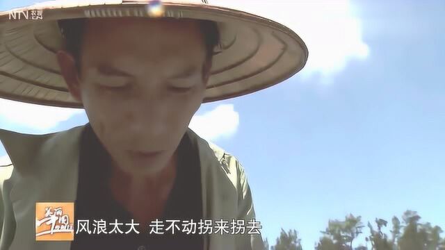 美丽中国乡村行:河南信阳千岛湖,3斤鱼头做的“秀水鱼头”真鲜