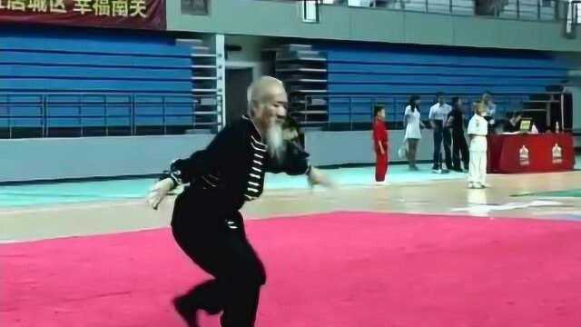 武林老前辈演练少林天罡拳